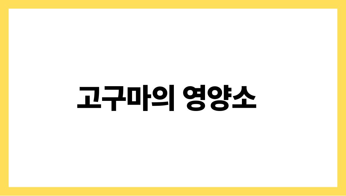 고구마 고구마의 영양소