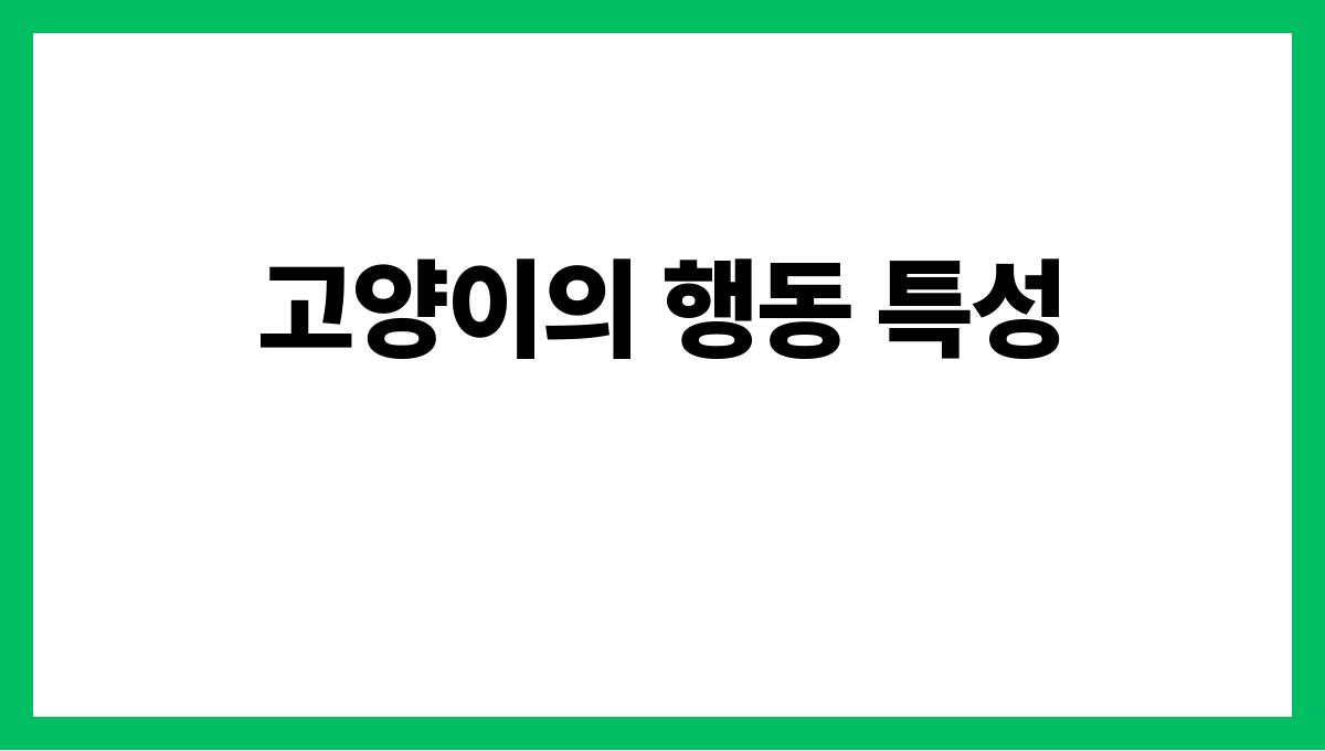 고양이 고양이의 행동 특성