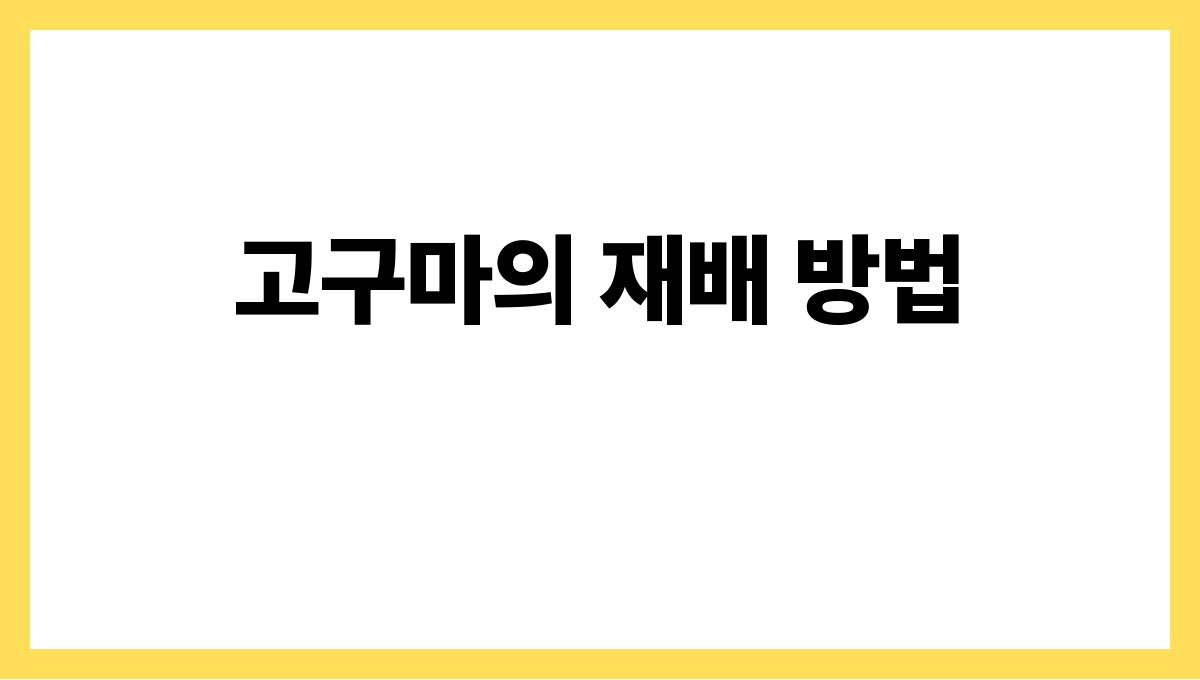 고구마 고구마의 재배 방법