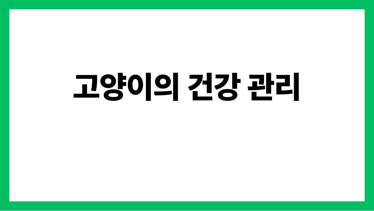 고양이 고양이의 건강 관리