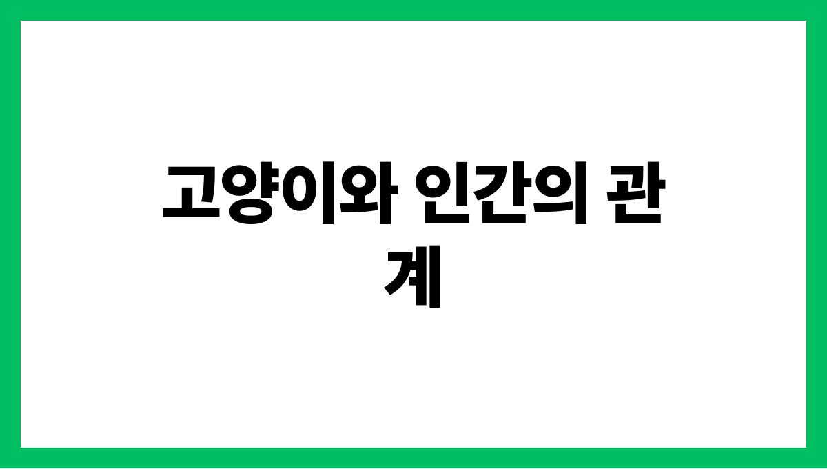 고양이 고양이와 인간의 