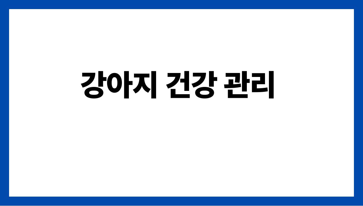 강아지 강아지 건강 관리