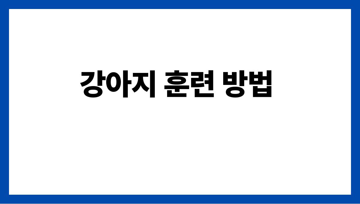 강아지 강아지 훈련 방법