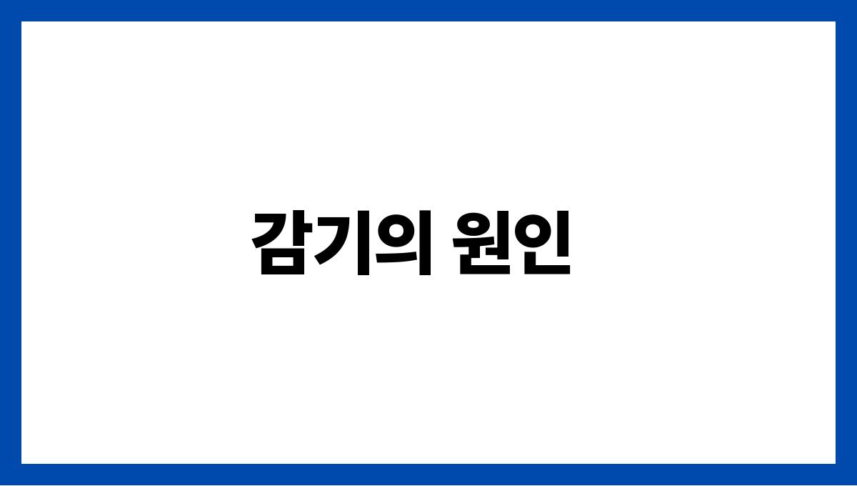 감기 감기의 원인