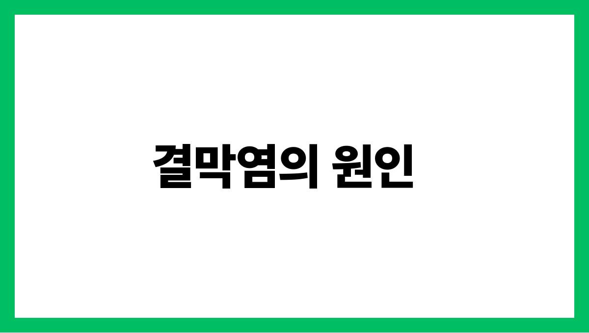 결막염 결막염의 원인