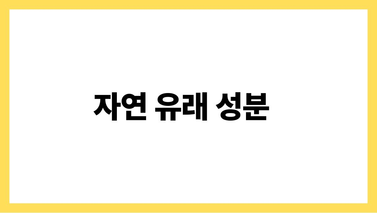 겨울철 피부 보호 스킨케어 꿀팁 자연 유래 성분