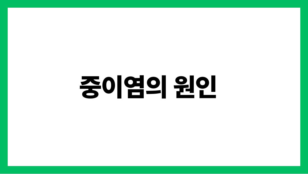 중이염 중이염의 원인