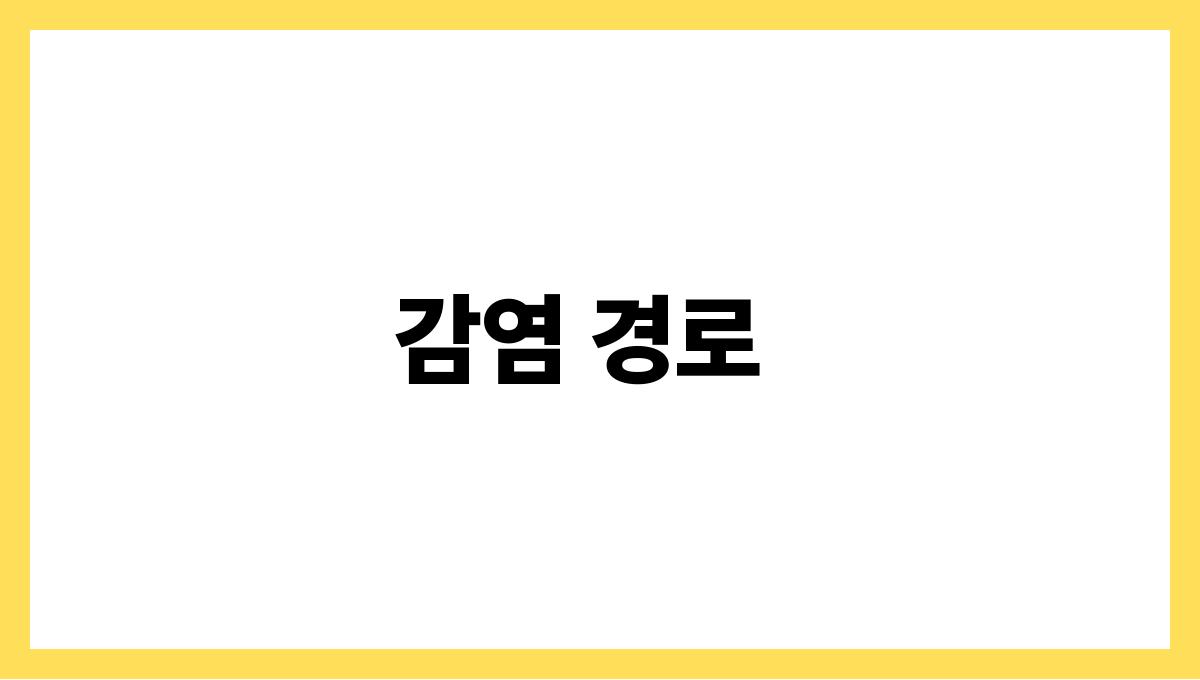 노로바이러스 감염증 감염 경로