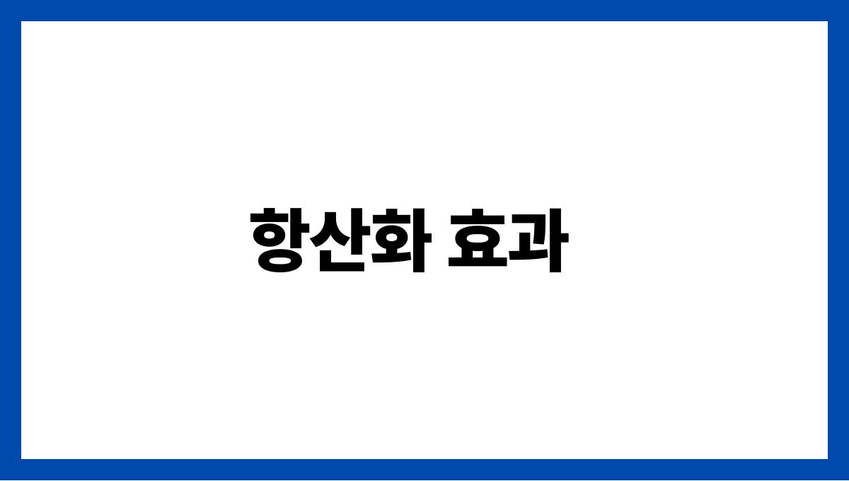 중년의 건강을 위한 최고의 슈퍼푸드 10가지 항산화 효과