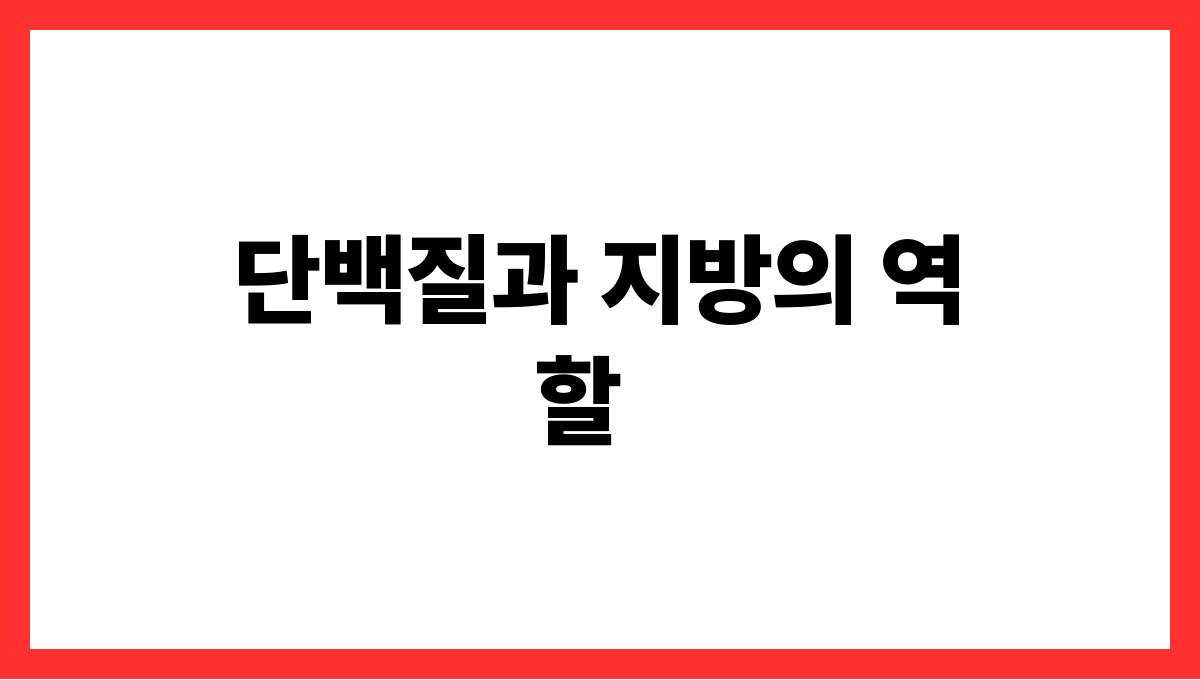 당뇨 관리를 위한 식단 구성법 단백질과 지방의 역할