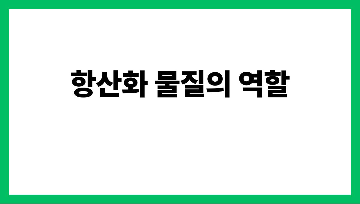 노화 방지에 효과적인 항산화 식품 TOP 5 항산화 물질의 역할