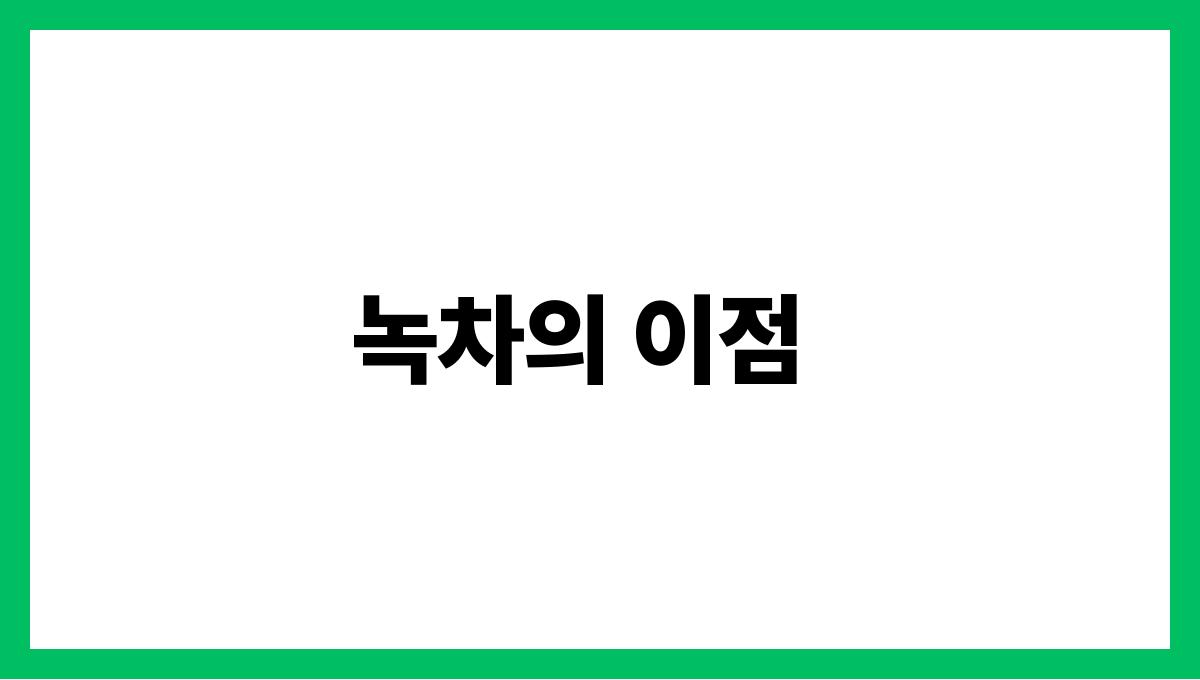 노화 방지에 효과적인 항산화 식품 TOP 5 녹차의 이점