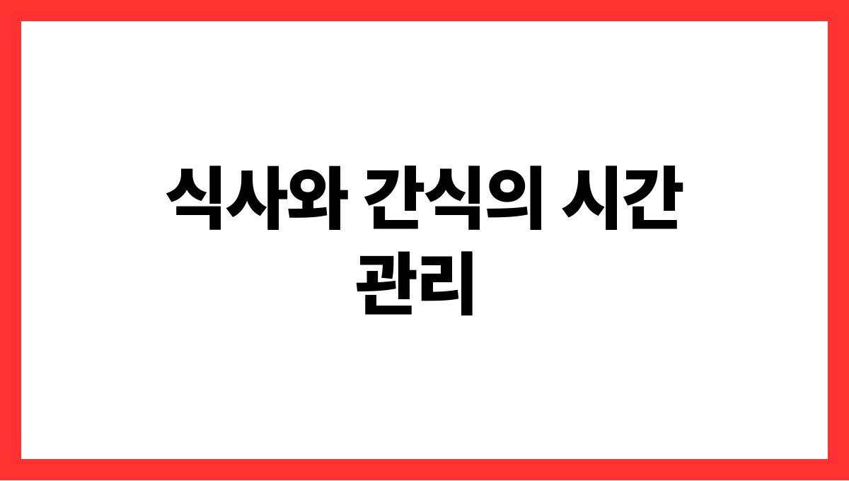 간식을 먹어도 살찌지 않는 방법 식사와 간식의 시간 관리