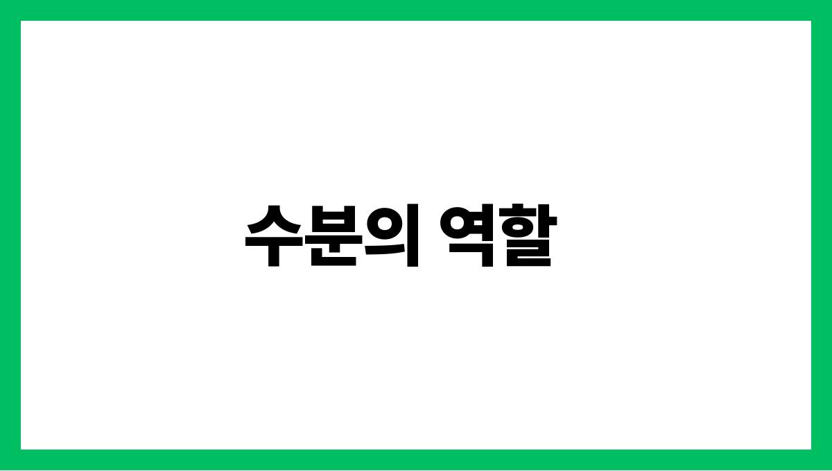 물을 제대로 마시는 법 수분 섭취의 중요성 수분의 역할