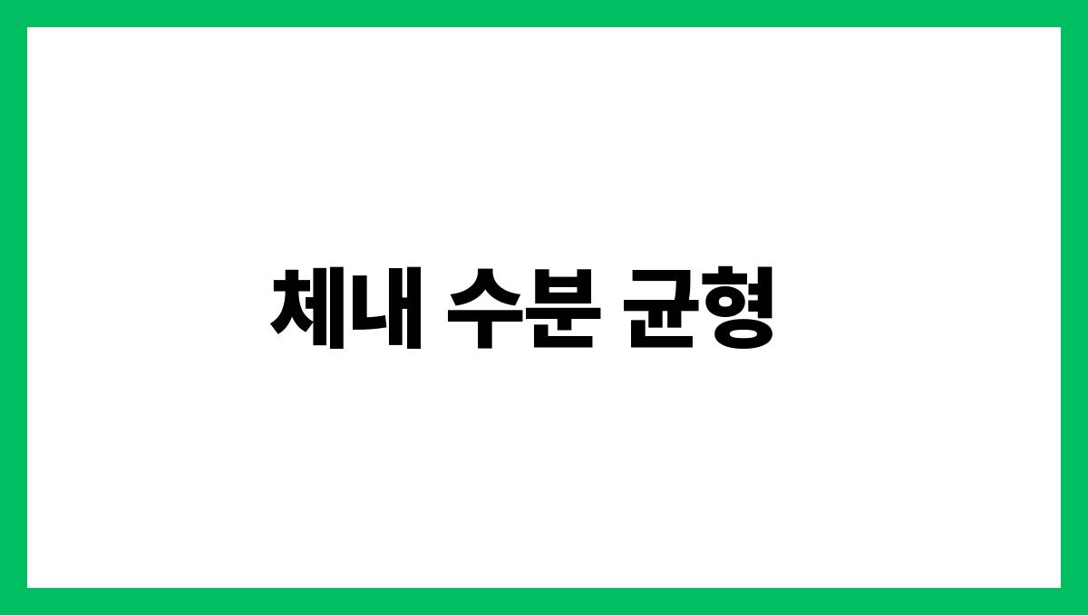 물을 제대로 마시는 법 수분 섭취의 중요성 체내 수분 균형