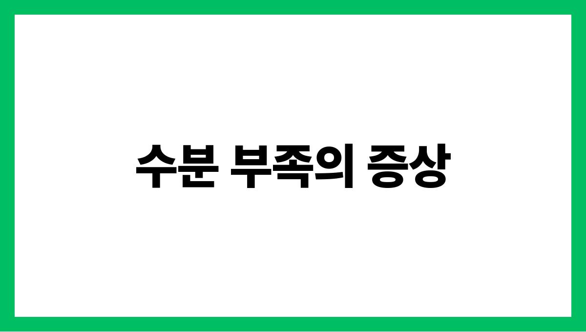 물을 제대로 마시는 법 수분 섭취의 중요성 수분 부족의 