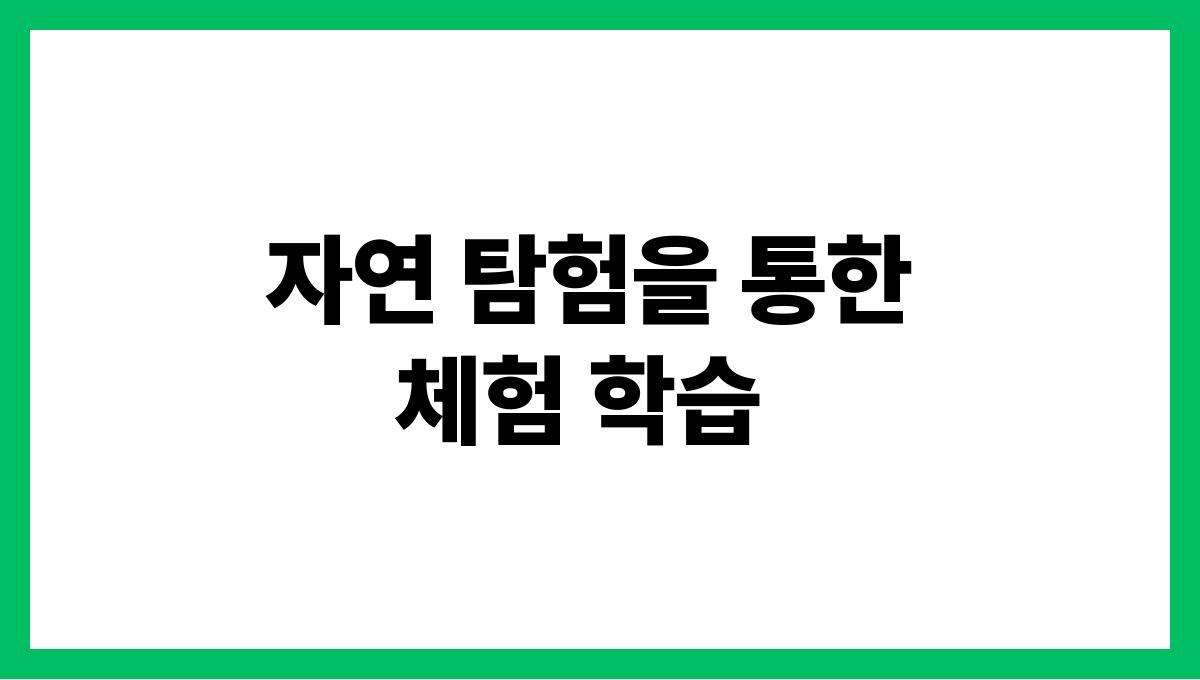 손주와 유대감을 쌓는 놀이 활동 아이디어 자연 탐험을 통한 체험 학습