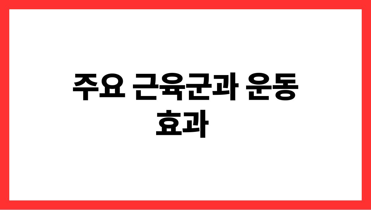 밴드를 활용한 초간단 근력 운동 주요 근육군과 운동 효과