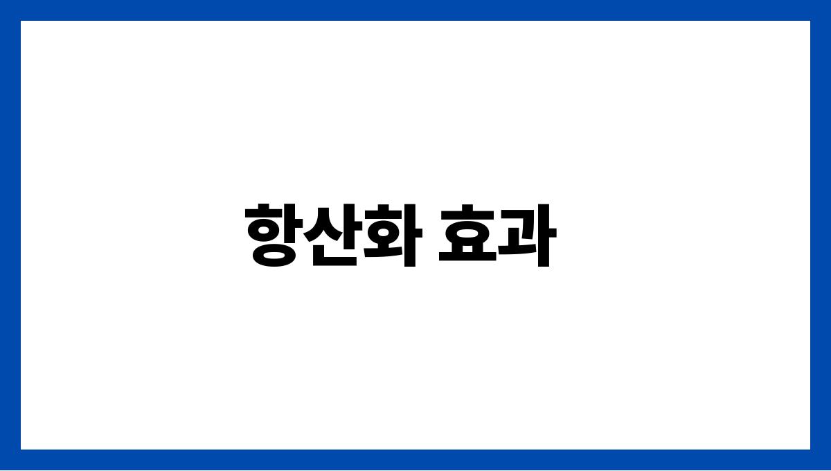 녹차 효능 남성 항산화 효과