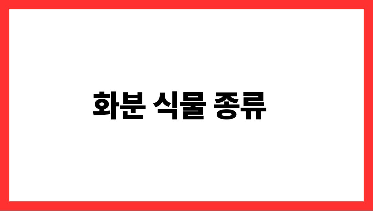 봄맞이 가드닝–초보자를 위한 화분 식물 추천과 관리법 화분 식물 종류