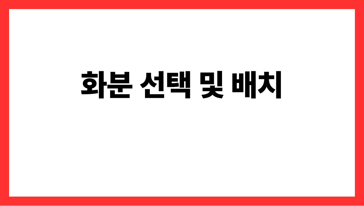 봄맞이 가드닝–초보자를 위한 화분 식물 추천과 관리법 화분 선택 및 배치