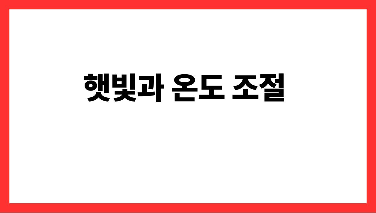 봄맞이 가드닝–초보자를 위한 화분 식물 추천과 관리법 햇빛과 온도 조절