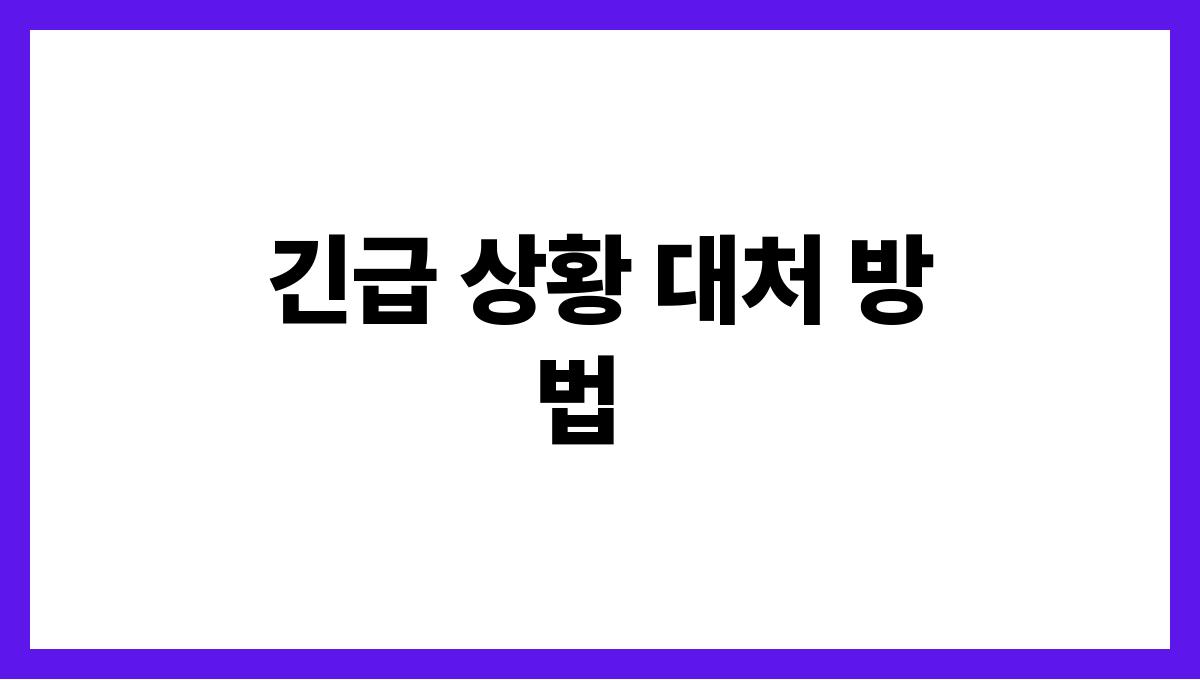 여름휴가 전 여행자 보험 체크리스트 긴급 상황 대처 방법