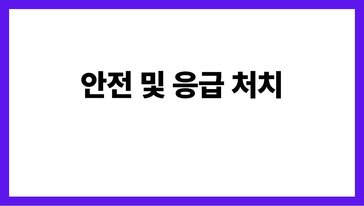 여름캠핑 준비물 체크리스트 안전 및 응급 처치