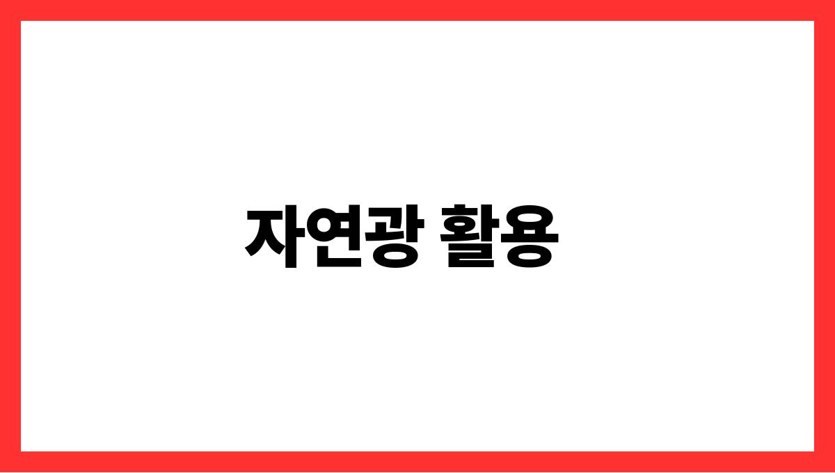 사진이 예쁘게 나오는 여름 여행 촬영법 자연광 활용