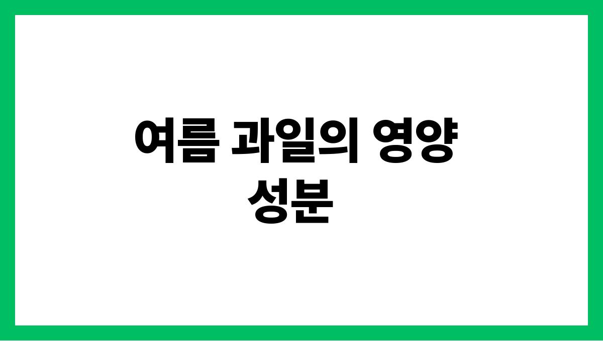 여름 제철 과일의 놀라운 효능 여름 과일의 영양 성분