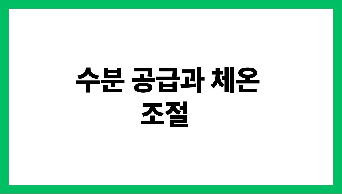 여름 제철 과일의 놀라운 효능 수분 공급과 체온 조절