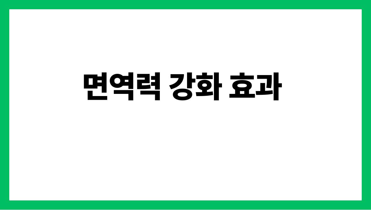 여름 제철 과일의 놀라운 효능 면역력 강화 효과
