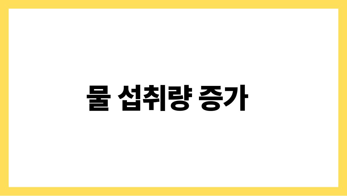 더운 여름 과식 피하는 식사 팁 물 섭취량 증가