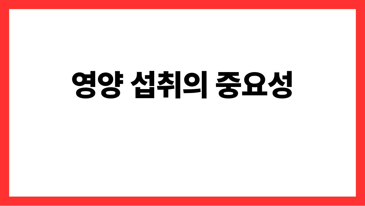 자외선 강한 여름 피부 지키는 법 영양 섭취의 중요성