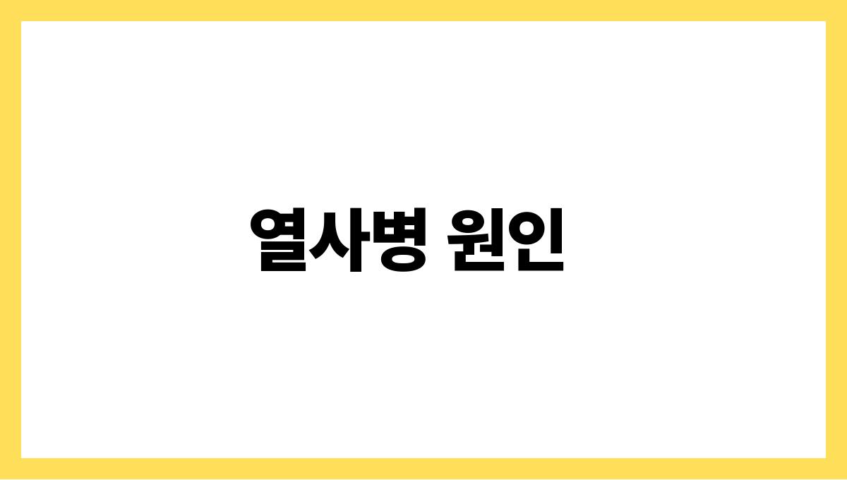 열사병 증상과 예방법 정리 열사병 원인
