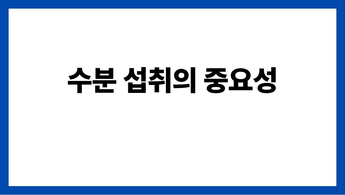 수분 보충이 중요한 여름 건강 상식 수분 섭취의 중요성