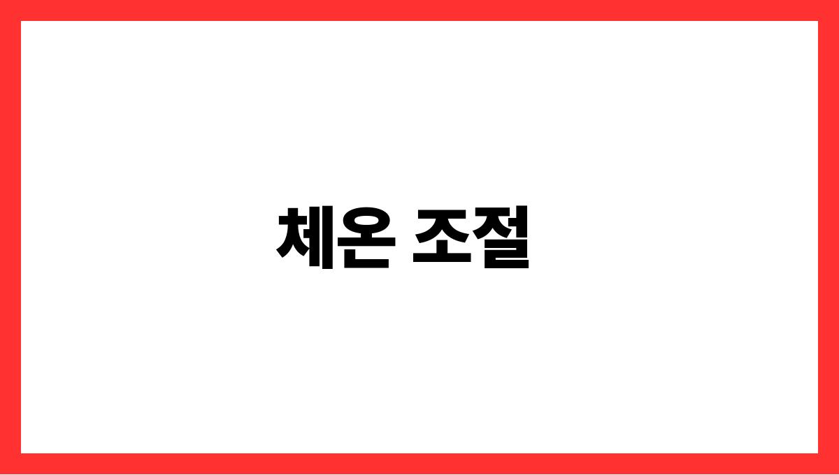 여름철 운동 시 반드시 알아야 할 주의사항 체온 조절