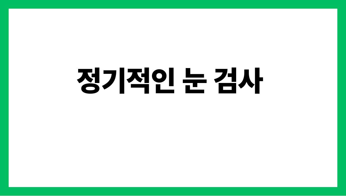 여름철 눈 건강 지키는 생활 팁 정기적인 눈 검사