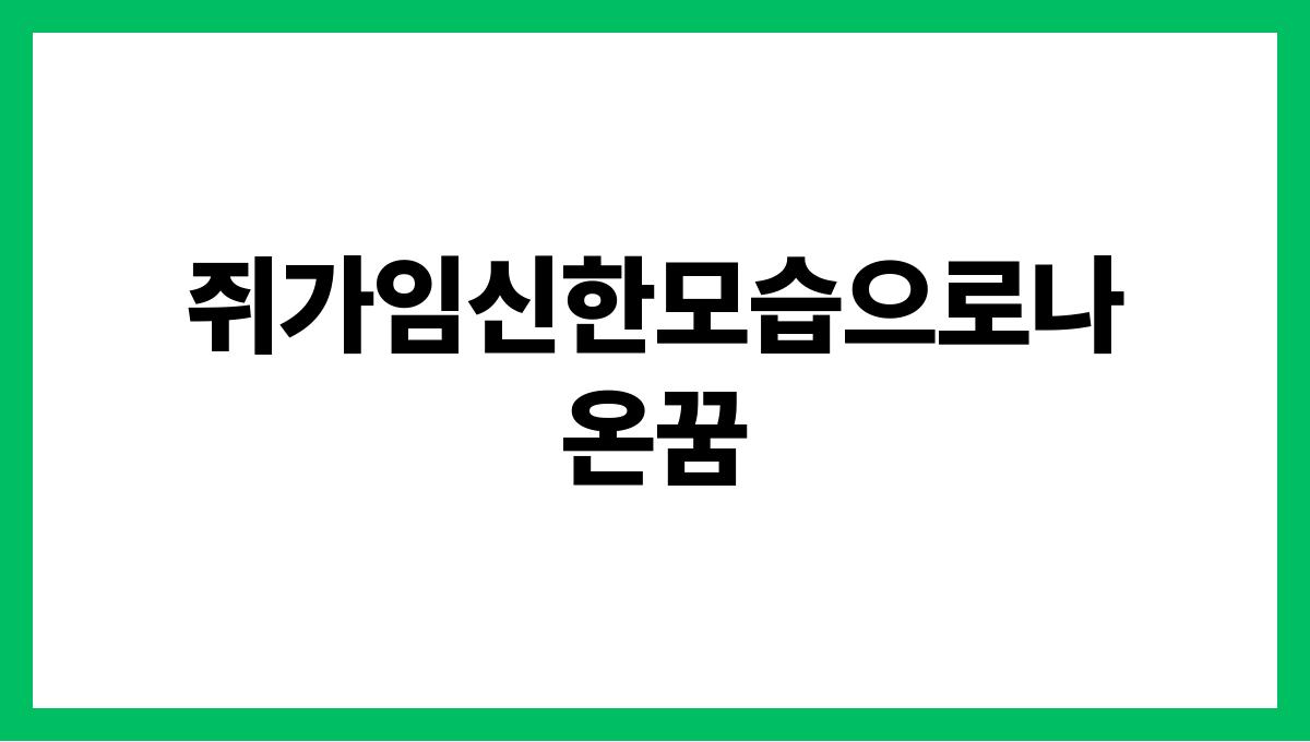 쥐가임신한모습으로나온꿈