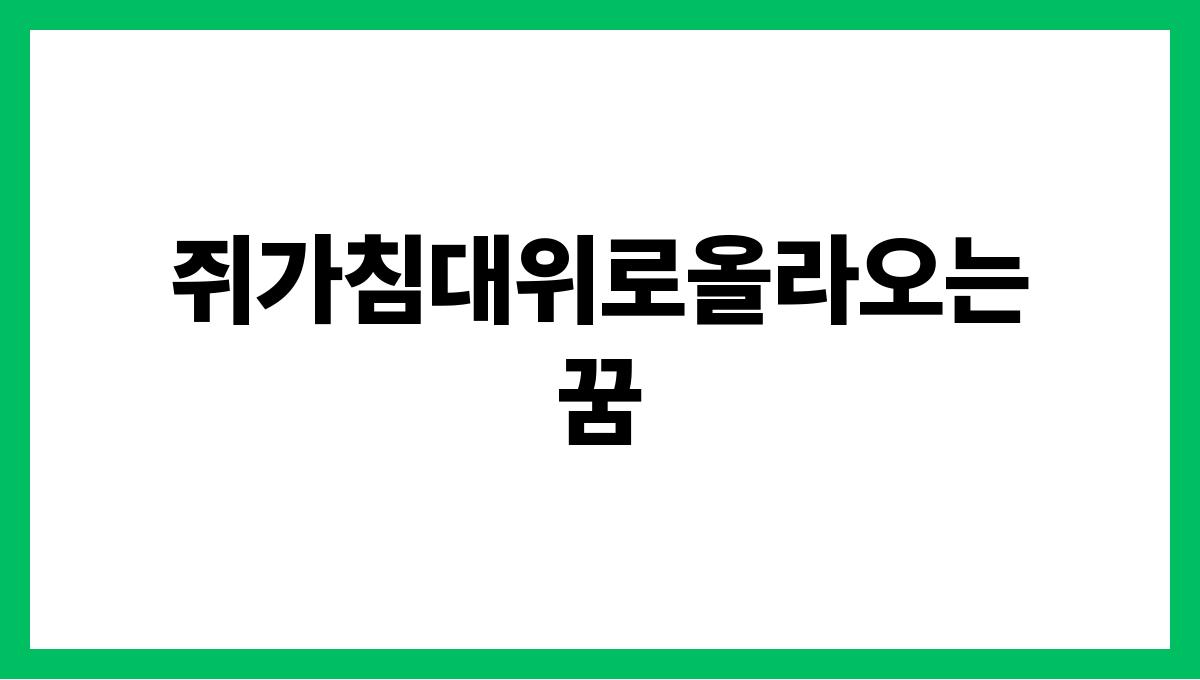 쥐가침대위로올라오는꿈