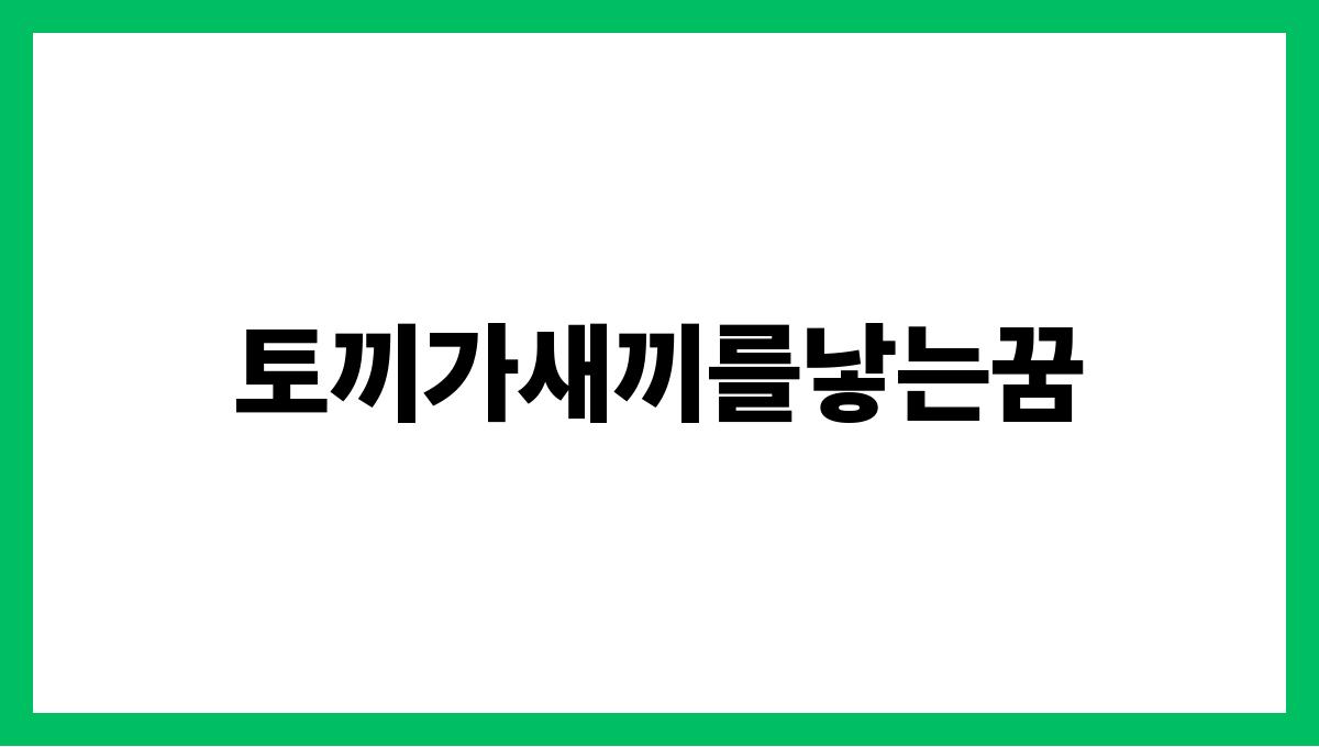 토끼가새끼를낳는꿈