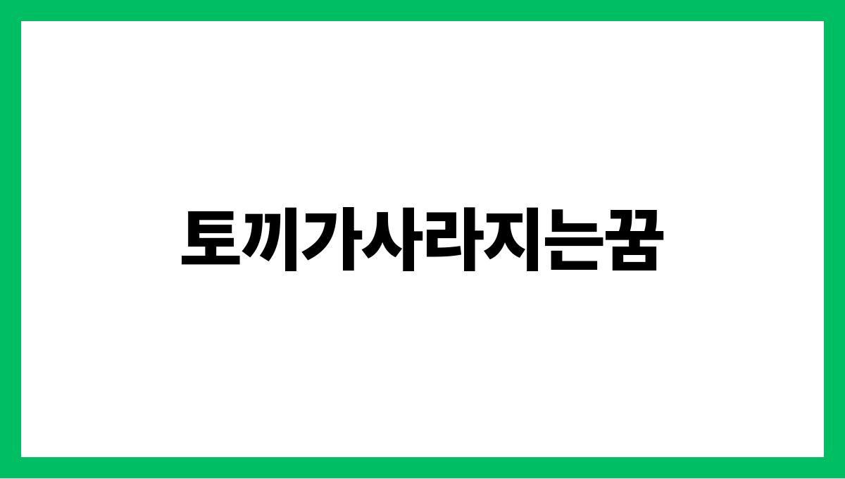 토끼가사라지는꿈