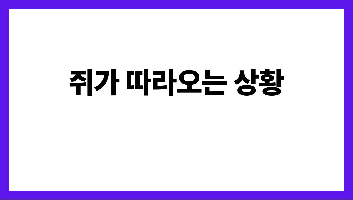 쥐가따라오는꿈 쥐가 따라오는 상황