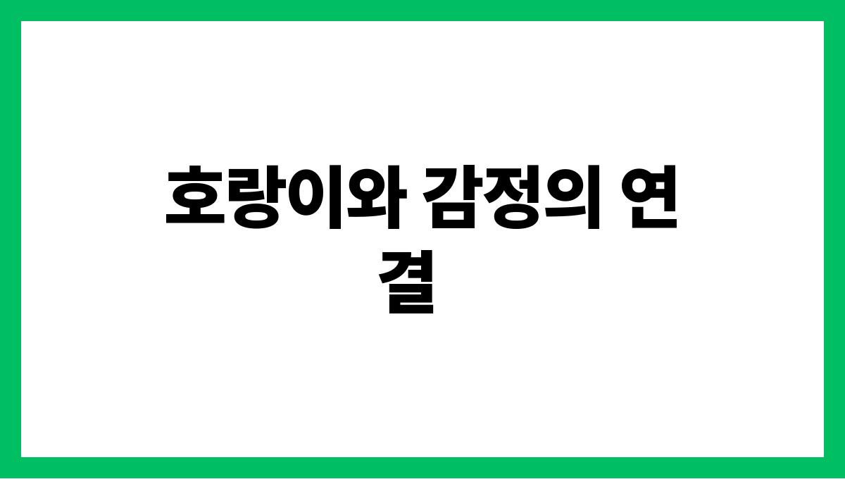 호랑이가나타나는꿈의상징 호랑이와 감정의 연결