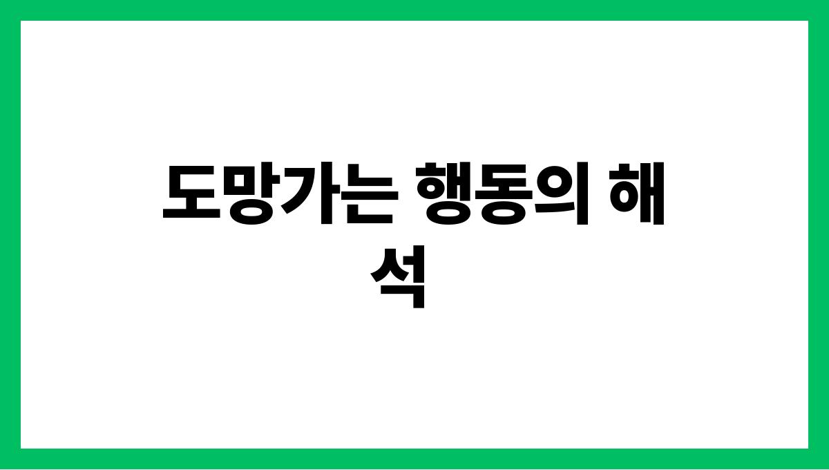 토끼가도망가는꿈의의미 도망가는 행동의 해석