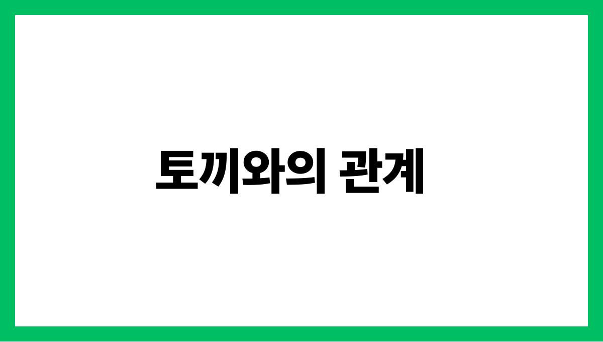 토끼와산책하는꿈 토끼와의 관계