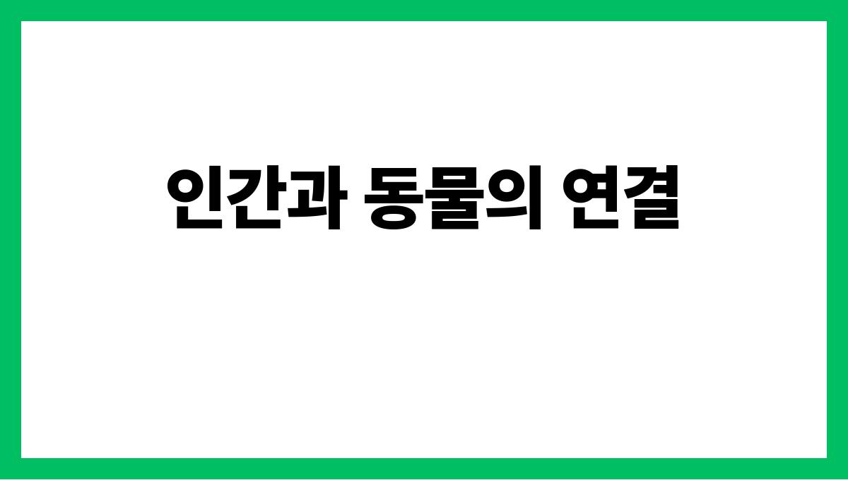 토끼가사람이되는꿈 인간과 동물의 연결