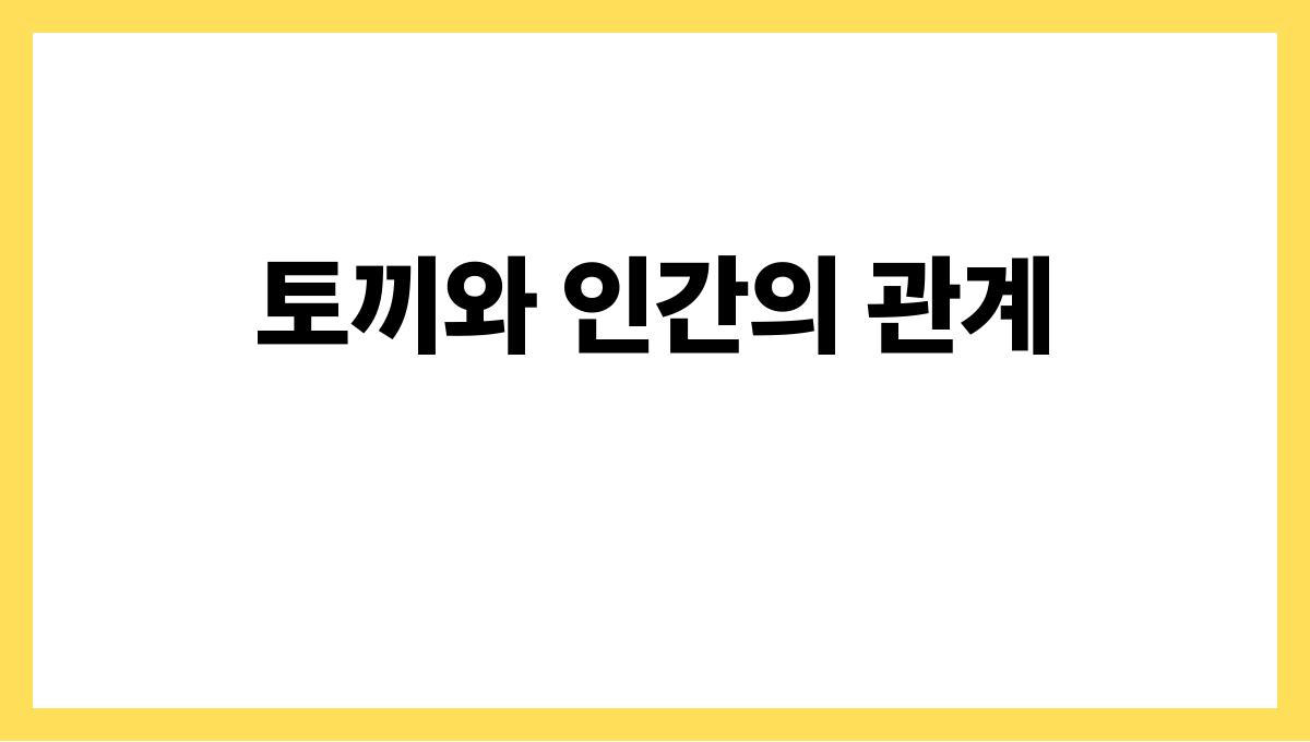 토끼가나를따라오는꿈 토끼와 인간의 관계