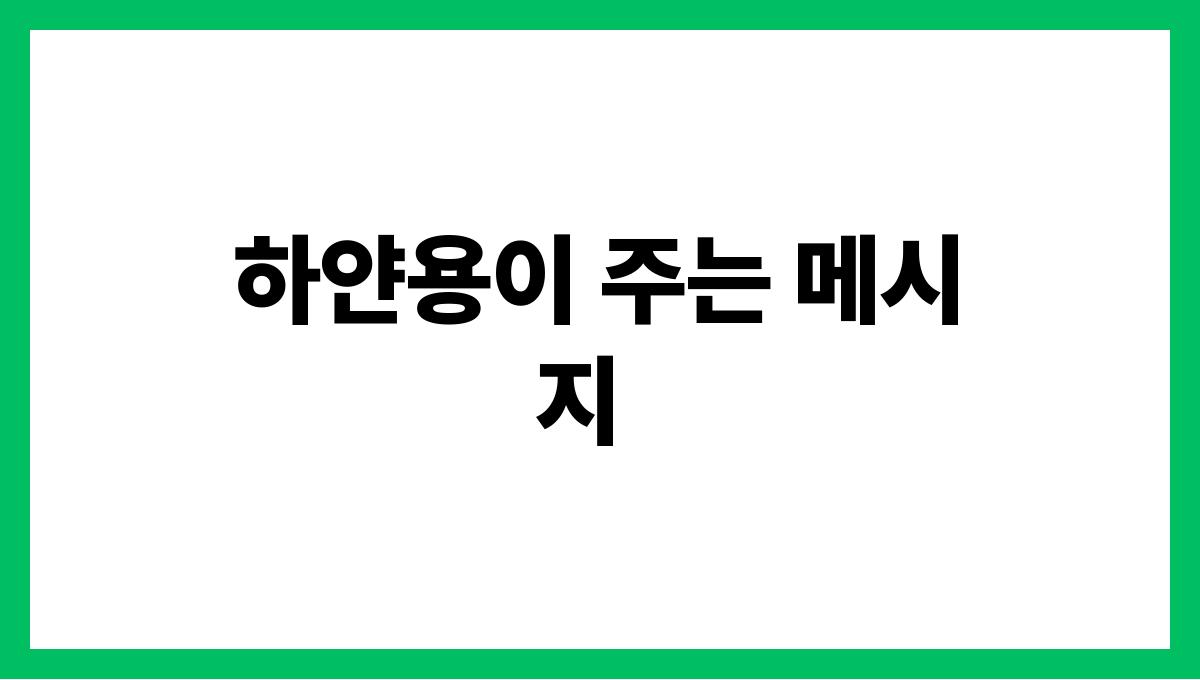 하얀용이등장하는꿈 하얀용이 주는 메시지