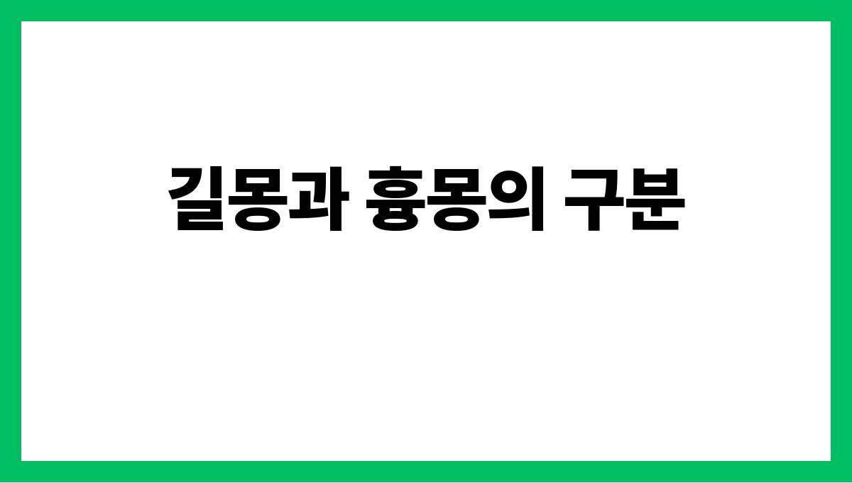 용을잡는꿈은길몽? 길몽과 흉몽의 구분